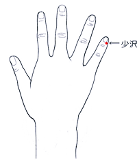 少沢のツボ